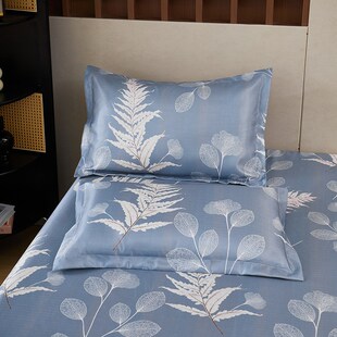 夏季 宿舍空调软席子可水洗裸睡双人1.8m床品 冰丝凉席三件套床单款