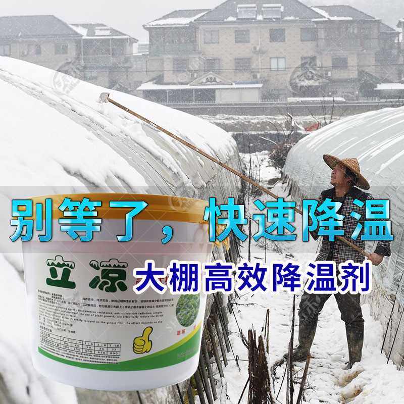 速发立蔬菜温遮j室防棚晒剂利凉大棚降温剂凉喷雾剂涂料降温济膜,农机/农具/农膜,大棚降温剂,淘宝优惠券,粉丝福利购,淘宝优惠卷