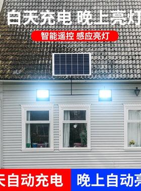 太阳能11167超灯一拖二庭院灯大家功户外投光灯率防水新农村路灯