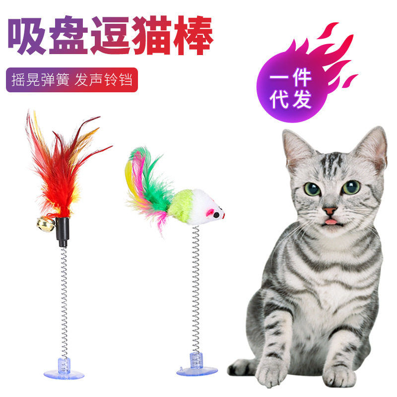 强力吸盘逗猫棒弹簧老鼠逗猫玩具彩色羽毛头玩具耐咬自嗨猫咪用品图片