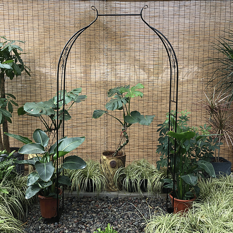 庭院铁艺葡萄架铁线莲攀爬植物A月季拱门花架爬藤架子拱形支架户