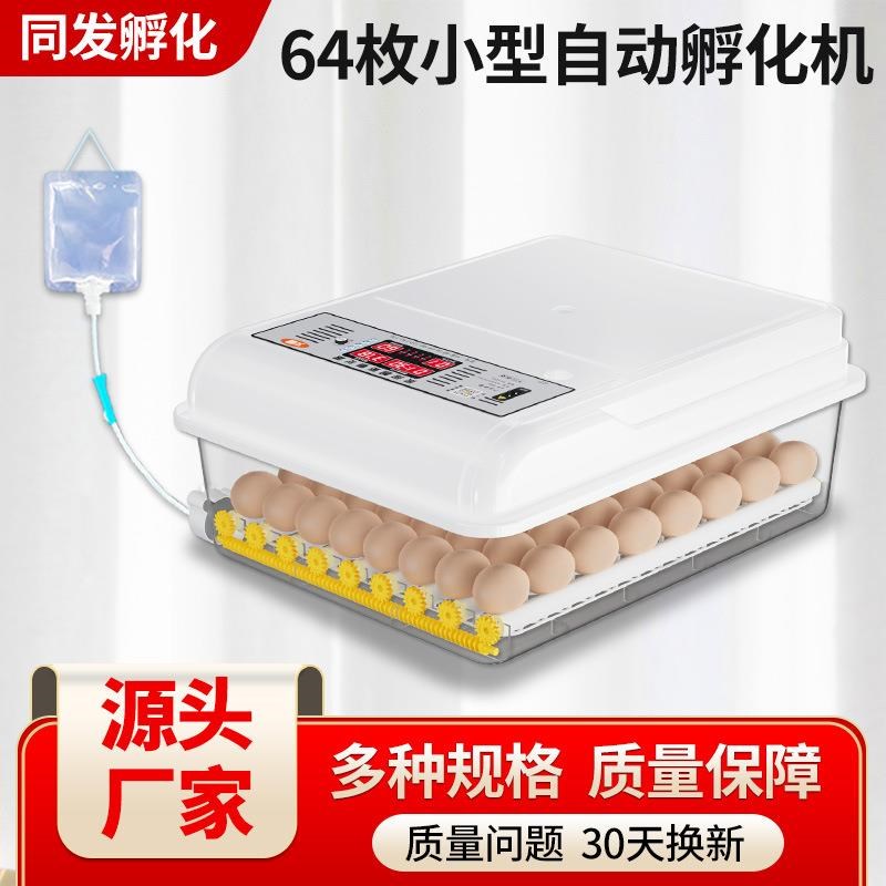 孵化器小型家用鸭j鹅鹌鹑鸽芦丁孵蛋器孵化机全自动家用小鸡2024