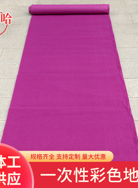 紫色地垫长方形拉绒地毯宾馆办公室隔音加厚地毯展厅装饰地毯