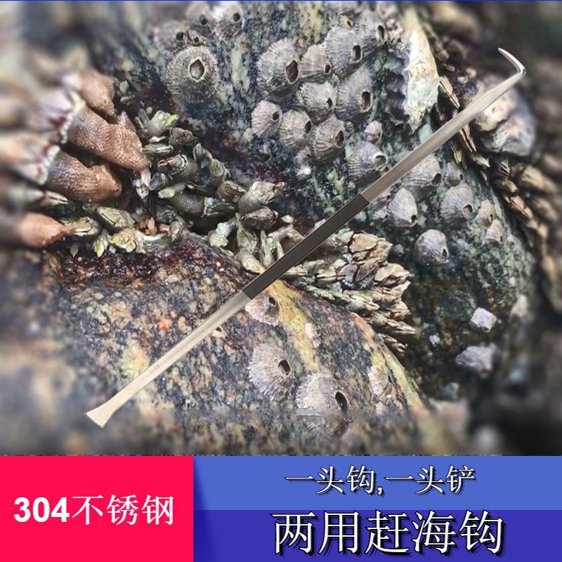 赶海佛手螺藤壶淡菜海红t岩石海螺钩子工具铲子敲打锤子挖刨撬