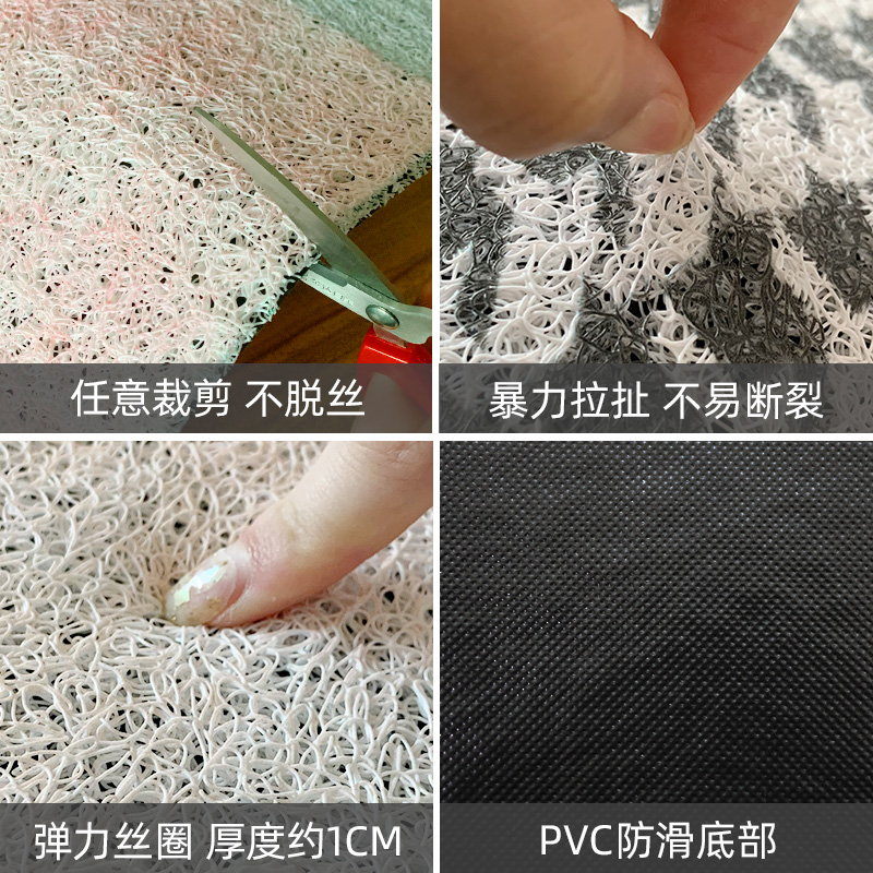 丝圈进门门口地垫网红轻奢门垫z入户地J毯门厅进户门脚垫子家用防