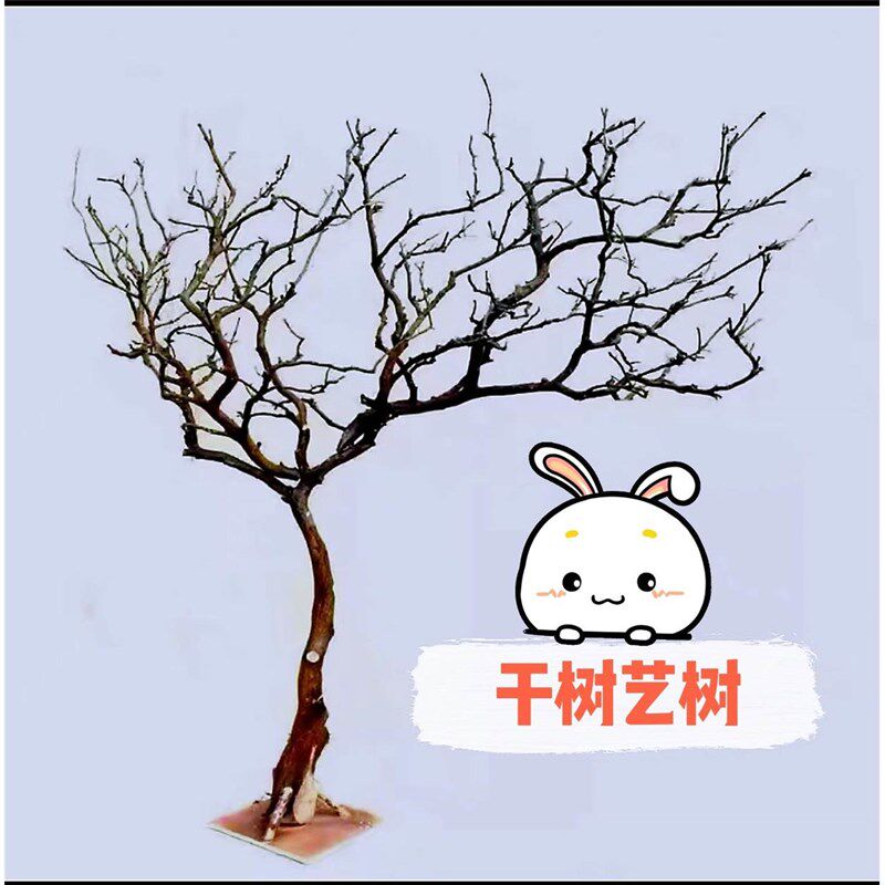 白色干树枝造景干枝树干许愿w树枯树室内造型树枝干原木树枝装饰