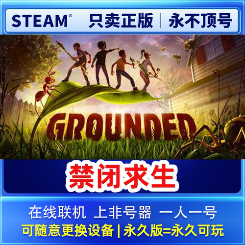 Steam正版 禁闭求生 在线联机 租号 永久租号 一人一号