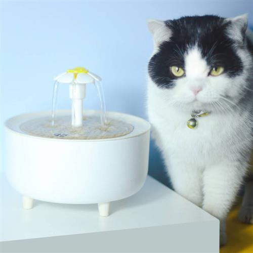 猫咪饮水机自动循环恒温加热冬季喝水器流动小猫酸奶机宠物喂水碗