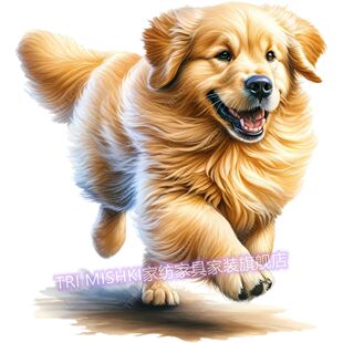 可爱金毛贴纸毛孩子高清狗狗贴画家居墙上自粘装饰画遮丑补洞防水