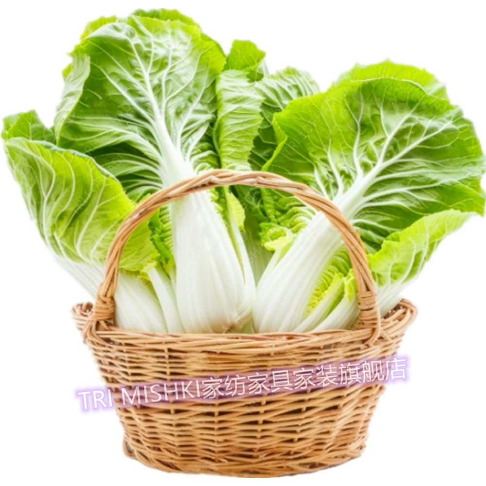 蔬菜篮子贴纸厨房贴画高清白菜粘贴画防水防油遮丑贴瓷砖裂缝爆款