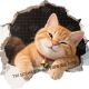 饰贴画防水贴车 可爱小猫自粘墙贴衣柜门窗装 犯困 橘猫贴纸新款