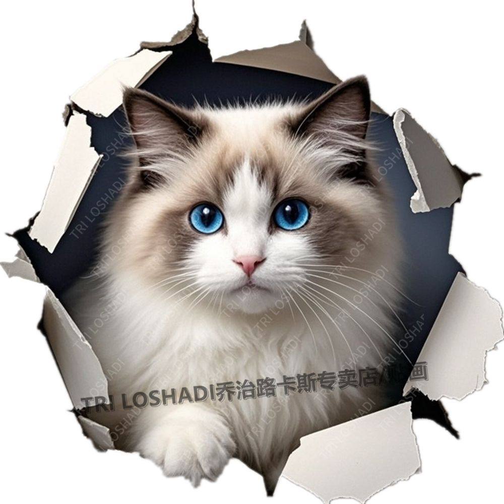 可爱布偶猫贴纸3d视觉自粘墙贴出租屋卧室防水遮丑粘贴画小猫贴车