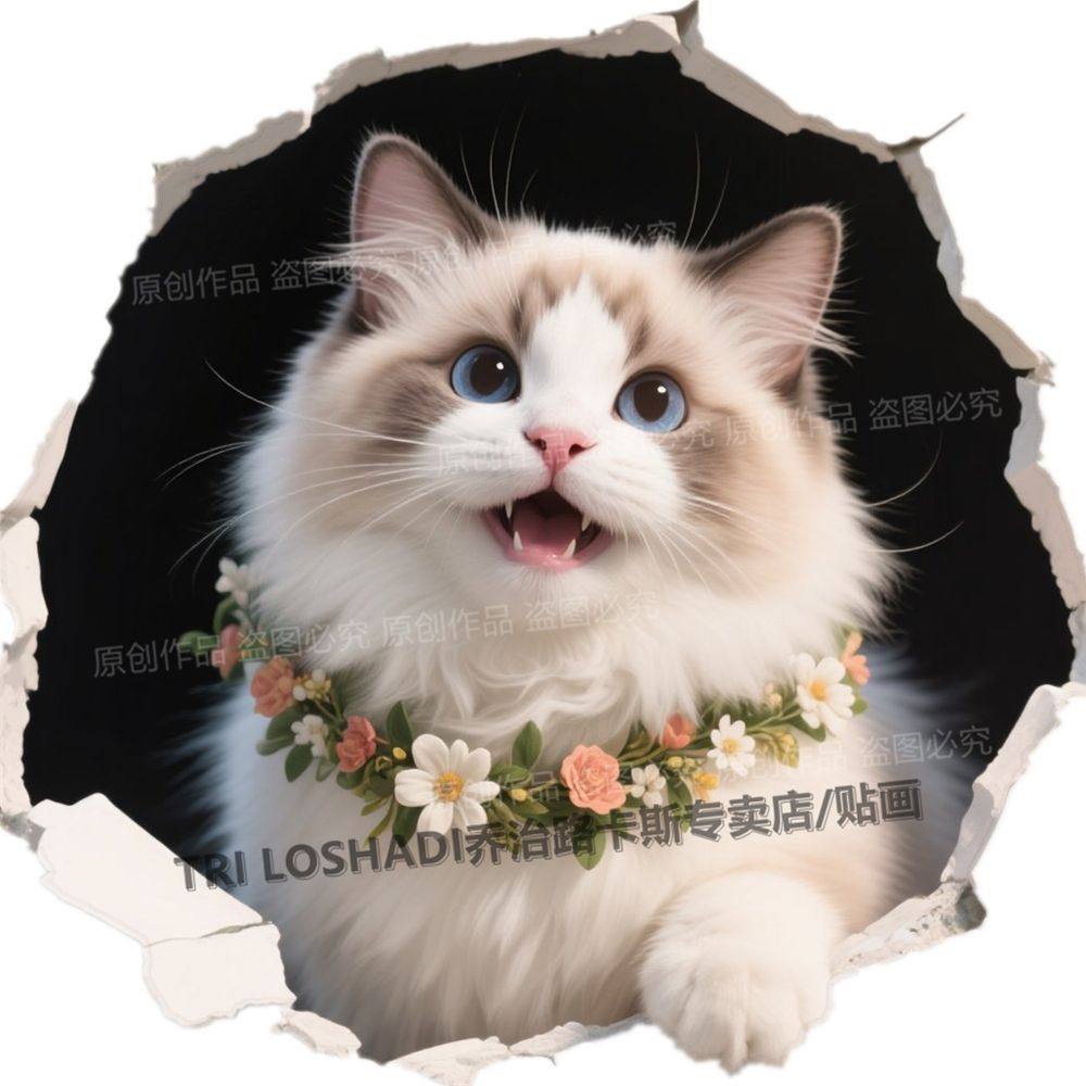 可爱布偶猫贴纸3d视觉破墙自粘门