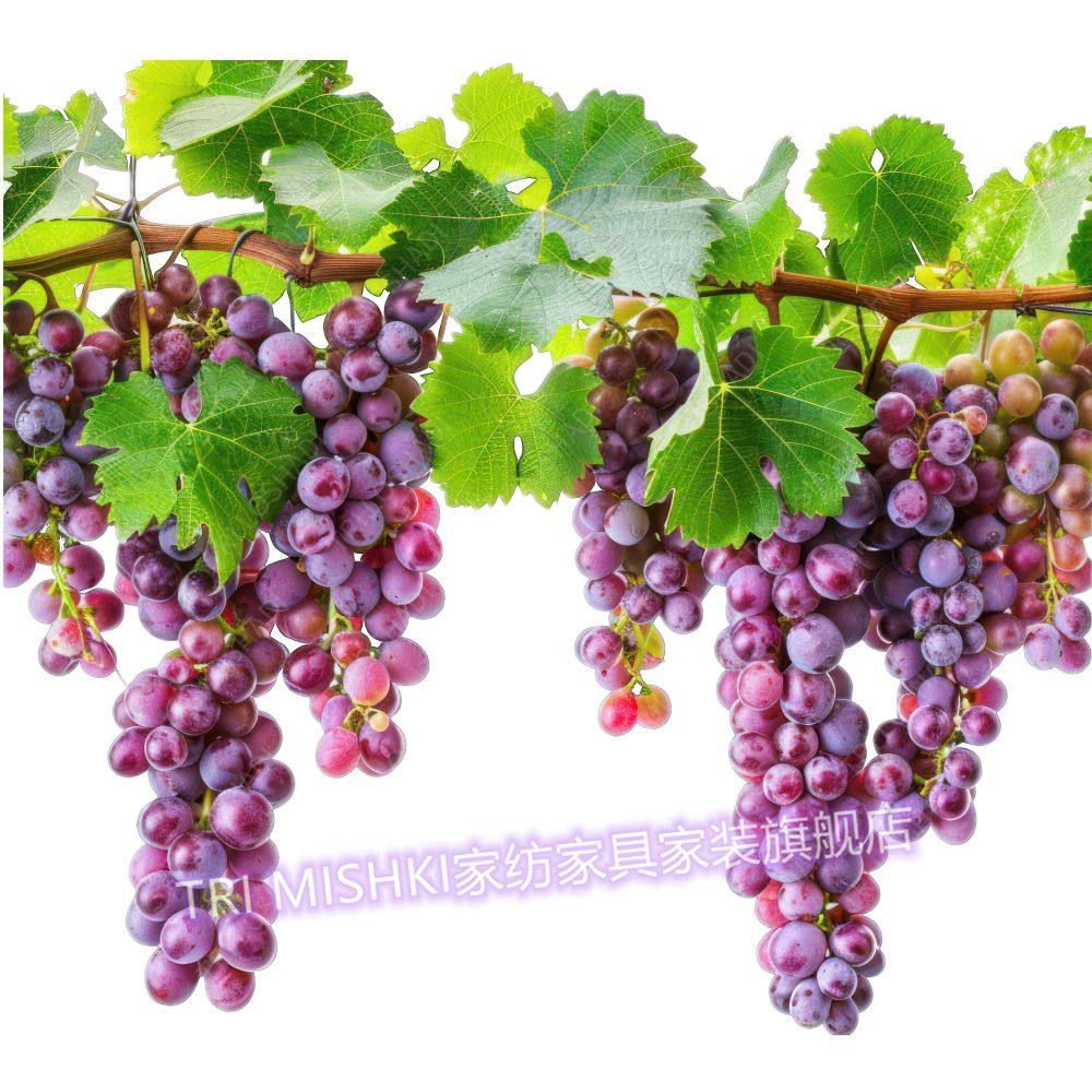 丰收的葡萄贴纸水果图案厨房贴画瓷砖防油粘贴画卧室柜门装饰贴花