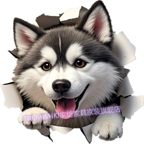 呆萌哈士奇狗狗贴纸家用遮丑墙面粘贴画防水防油门贴卧室墙角贴画