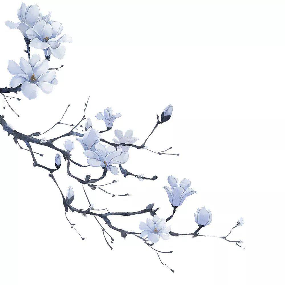 玉兰花艺术墙贴纸客厅玄关装饰贴画卧室门窗玻璃划痕贴浴室防水贴