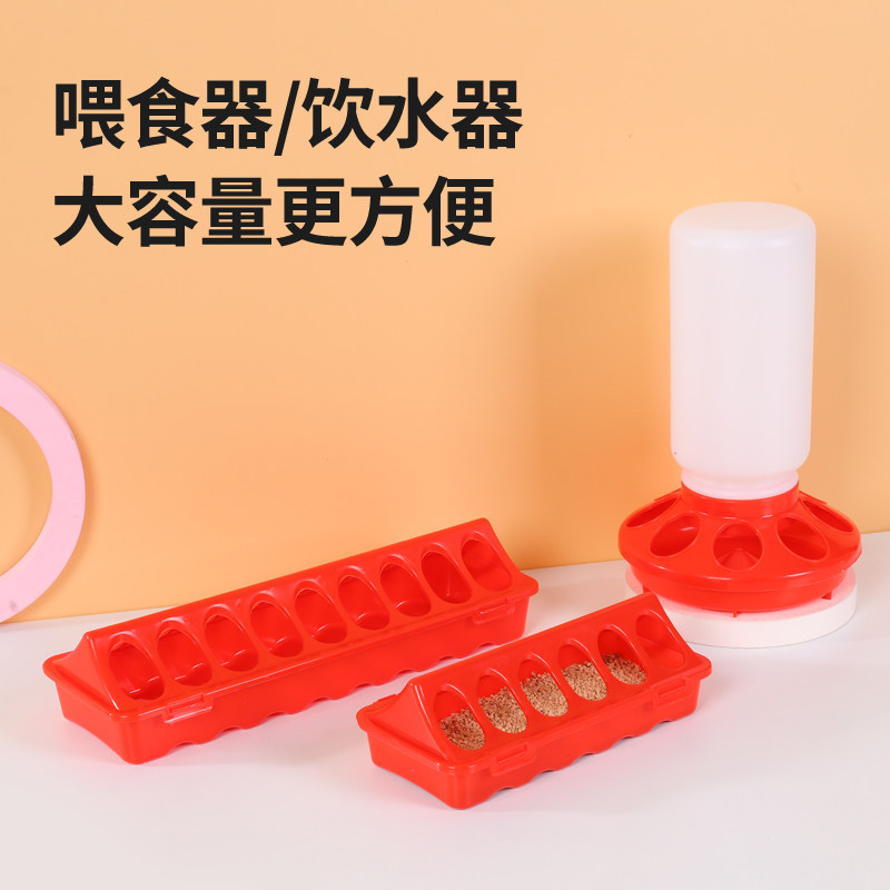 小鸡喝水饮水器鹦鹉自动下料器喂食器芦丁鸡多孔食盒水壶器鹌鹑食
