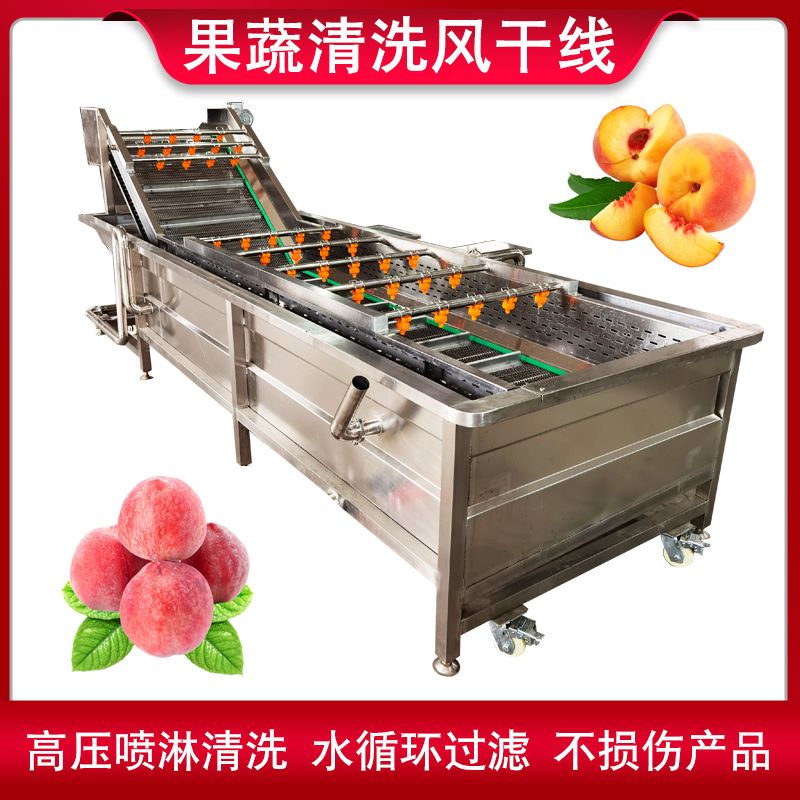 咖啡豆五谷杂粮清洗机 高压喷淋苹果气泡清洗机 玉米深加工清洗机