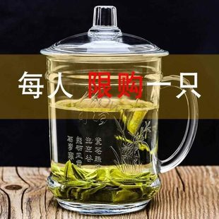 防摔个人水杯钢化玻璃杯专用带把手 泡茶杯杯子茶杯耐高温家用套装