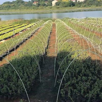 菜棚保温棚花棚育苗玻璃纤维杆农用大小拱棚支架拱杆玻璃钢弹力棒