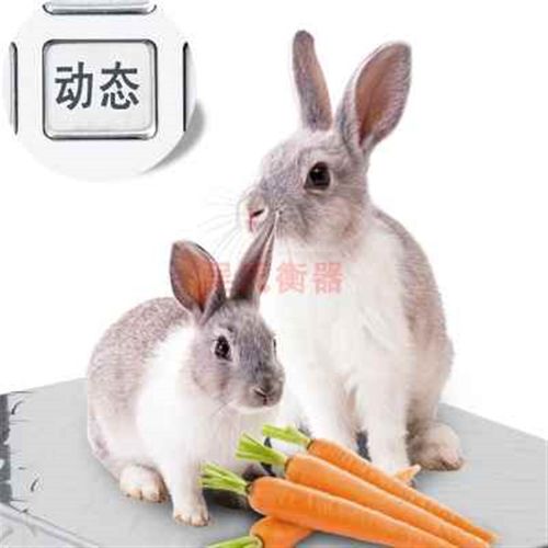 新款电子秤防水表头红字显示器150kg称头老式通用型包邮配件充电