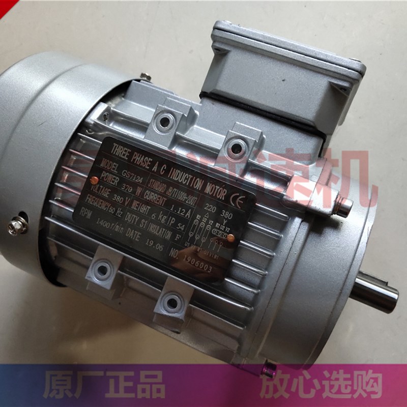 THREE PHASE AC INDUCTION MOTOR 三相电机 GS7124 GS8036 GS6322