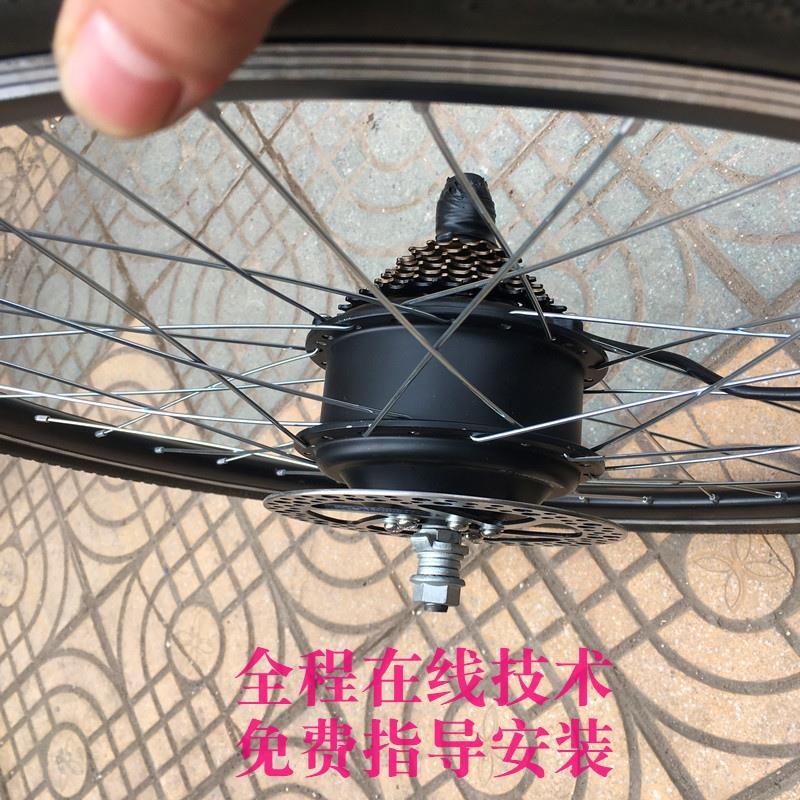 无刷有齒純銅電機 碟剎後驅卡飛輪組變速驅動电机