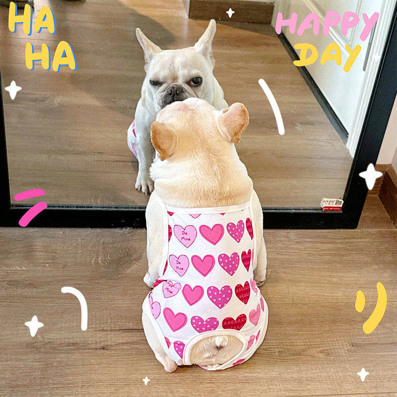 2025新款法斗宠物舒适棉质月经护垫调节防骚扰吊带适用柯基雪娜瑞,宠物/宠物食品及用品,狗宠物服装/雨衣,淘宝优惠券,粉丝福利购,淘宝优惠卷