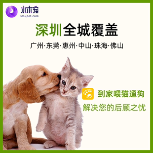 代喂猫 全深圳宠物喂养上门喂猫 猫咪上门服务 上门遛狗 铲屎换水