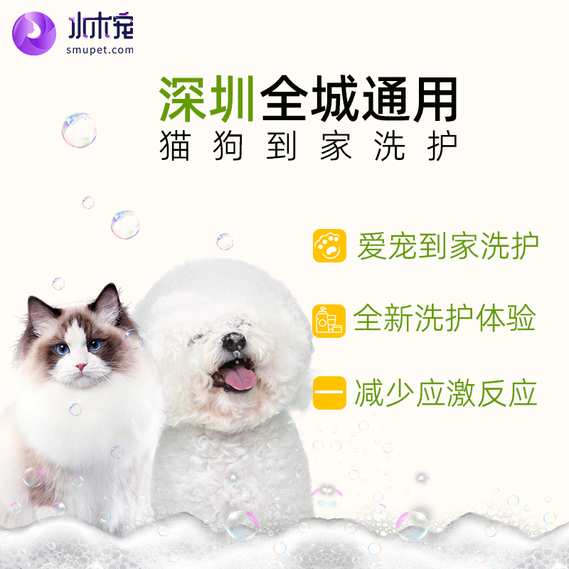 全深圳宠物上门服务猫咪狗狗上门洗护上门喂养 SAP级享受