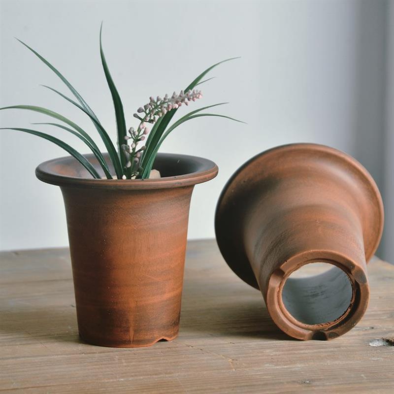 红陶盆年小兰花矮种兰花进口盆景生小富贵兰洋兰花盆风万石斛青附