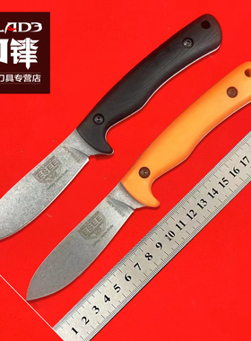 ESEE蚂蚁AGK户外战术小直刀野外求生存刀 防身随身刀具水果小刀