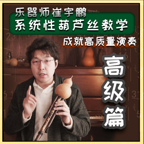乐器师崔宇鹏葫芦丝教学入门篇 系统性乐器课程 葫芦丝专业教程