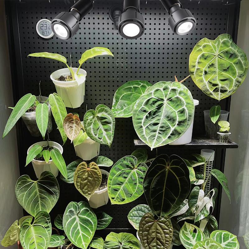 光联天下口全光E谱植物生长灯泡室内灯盆栽绿植热USE植补光27螺射