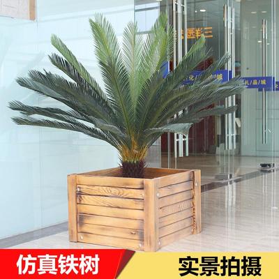 假树仿真苏铁树盆栽室内外落地装饰绿植摆设庭院苏铁树假植物盆景