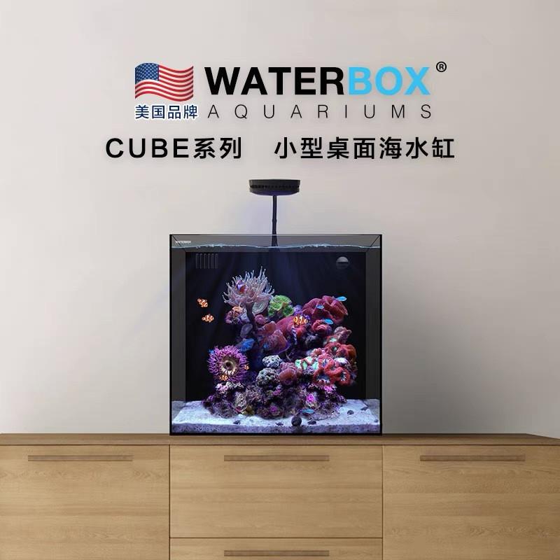 waterbox滤背过滤小型白背海水缸海缸家用桌面鱼缸厂家