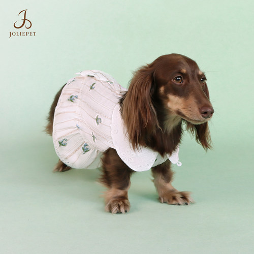度假风铃兰衬衫小狗衣服猫狗同款