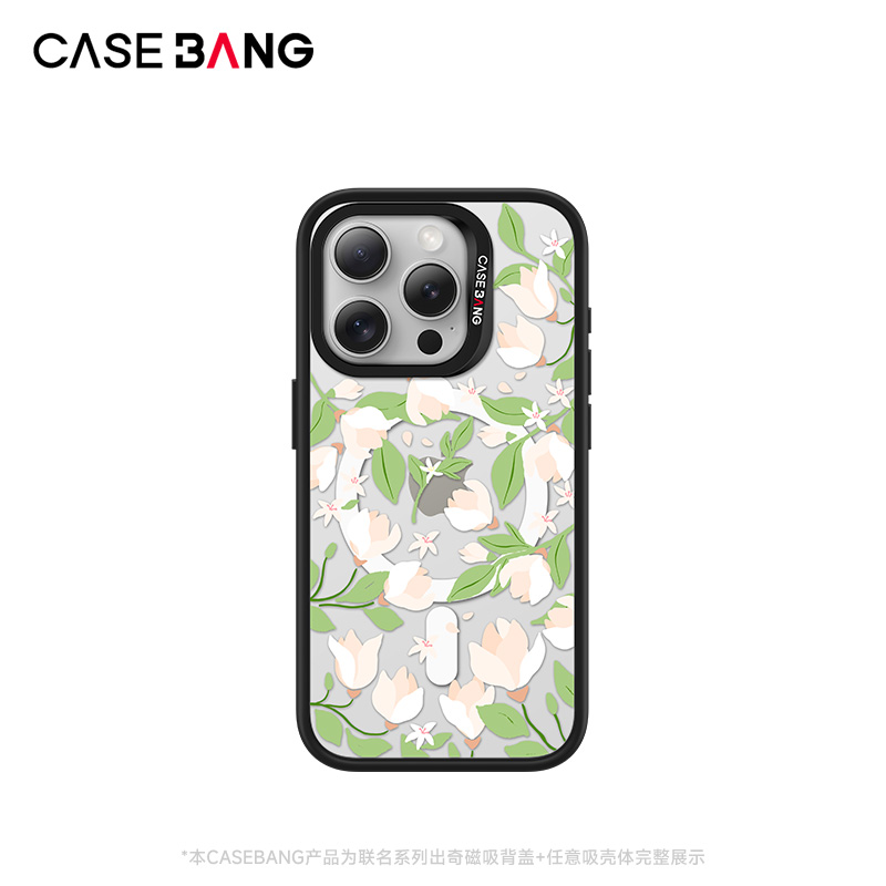 CASEBANGxKrystal联名秘密花园系列绿野仙踪手机壳磁吸背盖适用iPhone16/15/14/13/Plus/Pro/ProMax/16e