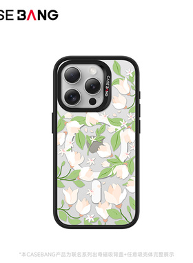 CASEBANGxKrystal联名秘密花园系列绿野仙踪手机壳磁吸背盖适用iPhone17e/16/15/14/13/Plus/Pro/ProMax/16e