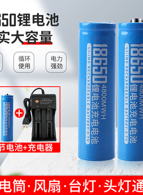 18650锂电池充电器话筒喇叭风扇头灯收音机锥子安全快充3.7v4.2v