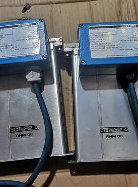 RHEONIK计RHM06GNT(P)-G1/2 实物拍议价