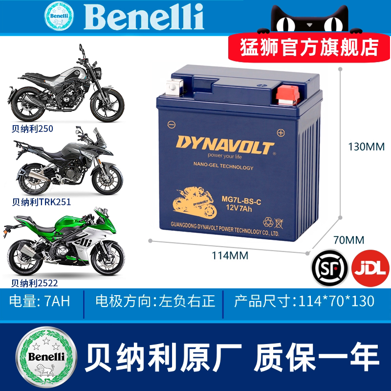 钱江贝纳利黄龙300赛600电瓶