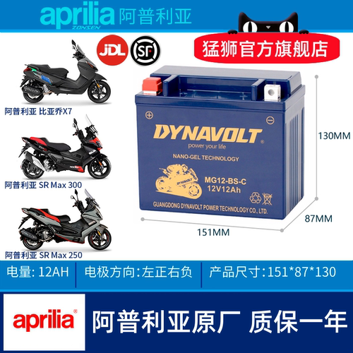 阿普利亚SRMAX250SR300电瓶