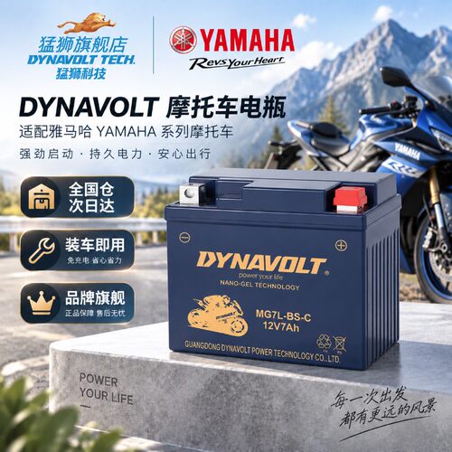 雅马哈摩托车替代NMAX155XMAX300TMAX560巧格i迅鹰FUZZY蓄电池锂