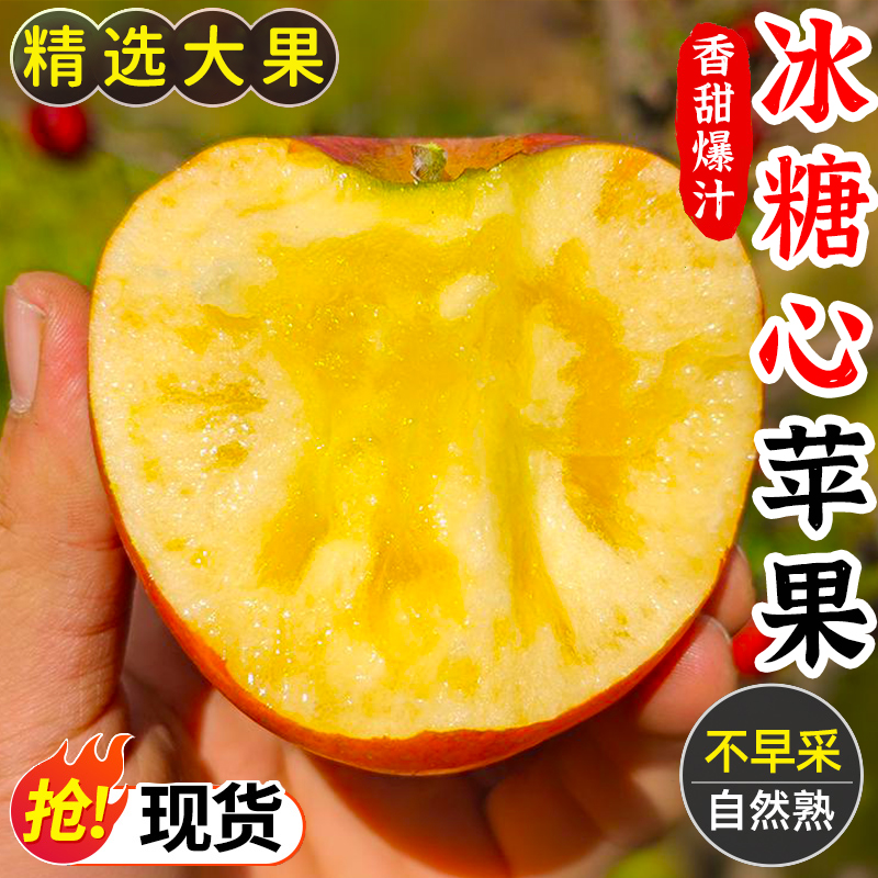 正宗红富士苹果新鲜采摘