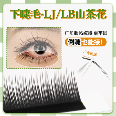 L型LJ/LB/LC/LD山茶花下睫毛
