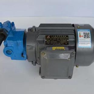 B16 1摆线齿轮油泵电机BB B25YJZ 1上海东高1.1KW B20Y B32YJZ