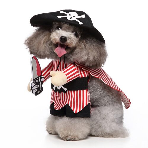 Panda Dress Pet Costume Halloween Costume Dog Cosplay Pirate