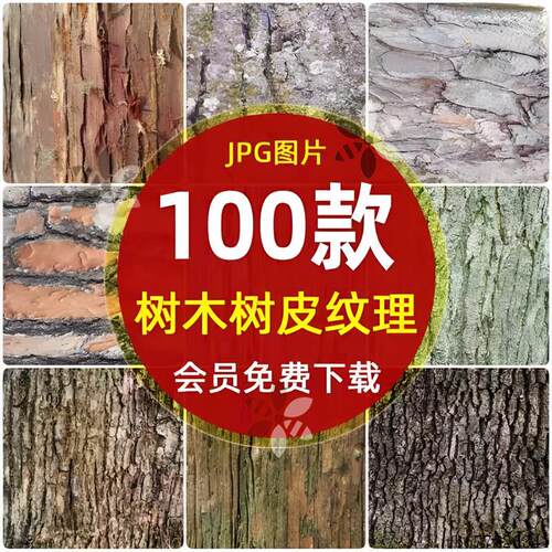 100款高清树木树皮纹理背景图片素材Jpg格式
