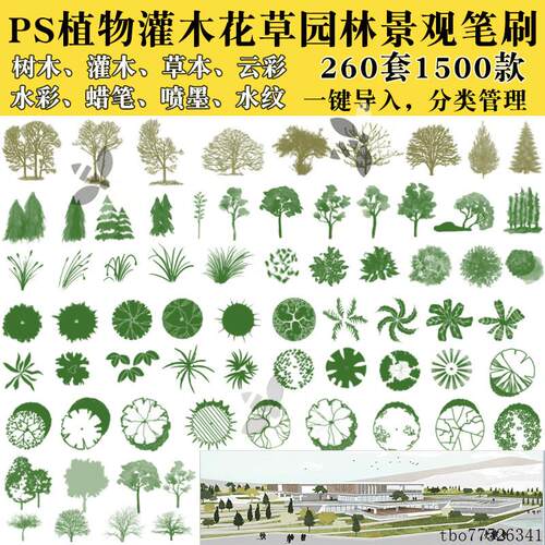 PS笔刷树草本植物花草树木水墨云彩平面立面园林景观后期笔刷素材